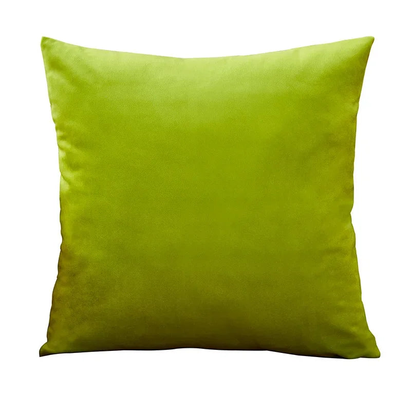 Coussin Velours : Housse Douce Déco Nordique