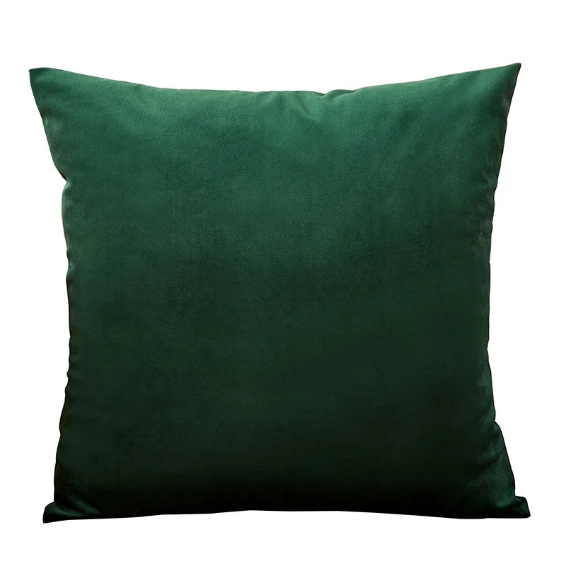 Coussin Velours : Housse Douce Déco Nordique